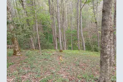 Tbd Ed Vanover Road, Creston, NC 28615 - Photo 3