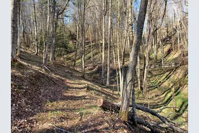 Tbd Ed Vanover Road, Creston, NC 28615 - Photo 9