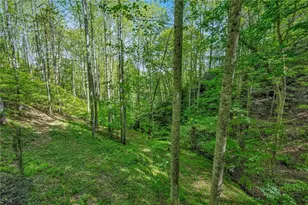 204 Mountain Side Ln, Crumpler, NC 28617 - Photo 27