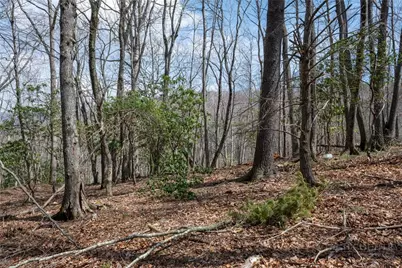Lot 36 Poplar Forest Drive, Boone, NC 28607 - Photo 9