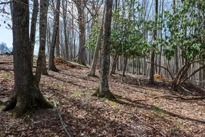 Lot 36 Poplar Forest Drive, Boone, NC 28607 - Photo 11