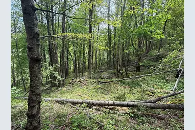 Tbd Spice Creek Road, Banner Elk, NC 28604 - Photo 11