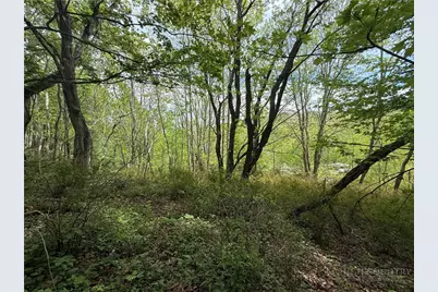 Tbd Spice Creek Road, Banner Elk, NC 28604 - Photo 17