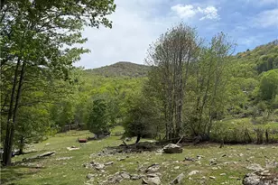 Tbd Spice Creek Rd, Banner Elk, NC 28604 - Photo 1