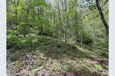 Tbd Spice Creek Road, Banner Elk, NC 28604 - Photo 15