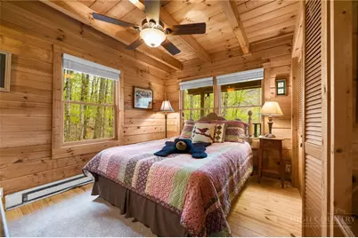 259 Greenbriar Road, Beech Mountain, NC 28604 - Photo 19