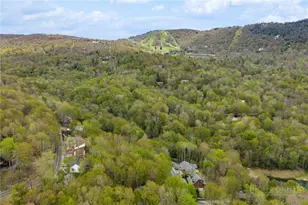 259 Greenbriar Rd, Beech Mountain, NC 28604 - Photo 39