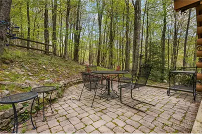 259 Greenbriar Road, Beech Mountain, NC 28604 - Photo 33