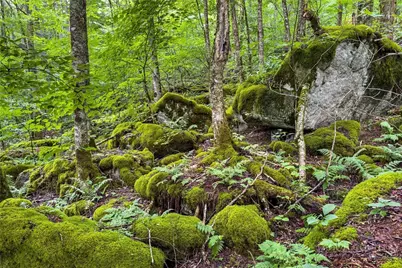 Es-15 Eagles Feather Trail, Banner Elk, NC 28604 - Photo 21