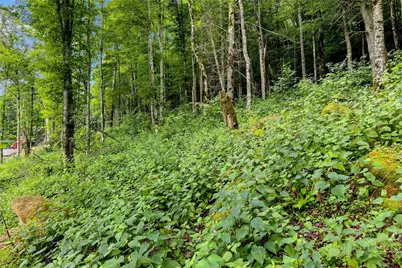 Es-15 Eagles Feather Trail, Banner Elk, NC 28604 - Photo 23