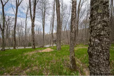 Es-88 Lands End Trail, Beech Mountain, NC 28604 - Photo 5