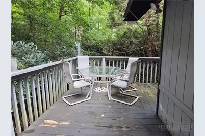 109 Shagbark Road, Beech Mountain, NC 28604 - Photo 49