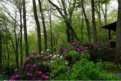 557 White Pine Road, Newland, NC 28657 - Photo 39