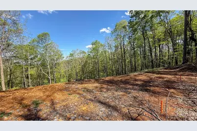 Tbd Maple Leaf Road, West Jefferson, NC 28694 - Photo 7