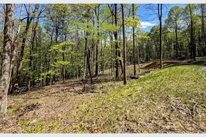 Tbd Maple Leaf Road, West Jefferson, NC 28694 - Photo 3