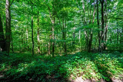 Lots 28 and 29 Marta Lane, Zionville, NC 28698 - Photo 3