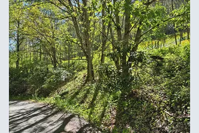 Tbd Ed Perry Ln Nc Tbd Ed Perry Ln Nc Lane, Banner Elk, NC 28604 - Photo 3