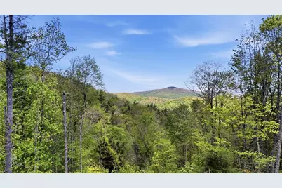 Lot 73 Linhigh Drive, Newland, NC 28657 - Photo 3