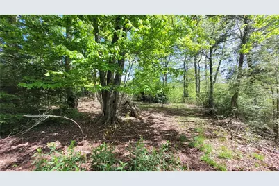 Lot 8 Pasture Lane, Banner Elk, NC 28604 - Photo 5