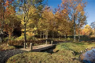 146 Sweet Meadow Ln, Blowing Rock, NC 28605 - Photo 49