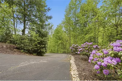 405 Woodlake Loop Road, Elk Park, NC 28622 - Photo 25