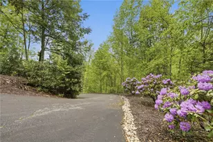 405 Woodlake Loop Rd, Elk Park, NC 28622 - Photo 25