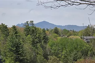 656 Goforth Rd, Blowing Rock, NC 28605 - Photo 9