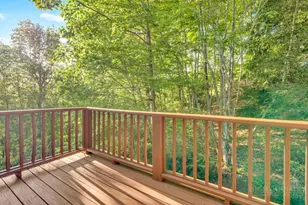 158 Fern Forest Dr, Boone, NC 28607 - Photo 43