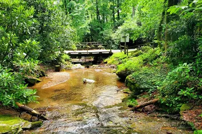 270 Bentley Road, Sugar Grove, NC 28679 - Photo 39