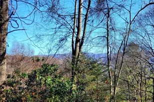 270 Bentley Rd, Sugar Grove, NC 28679 - Photo 47