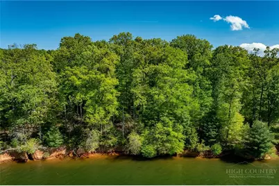 Tbd Goose Bradley Lane, Butler, TN 37640 - Photo 15