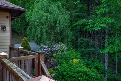 171 Camp Davis Road, Banner Elk, NC 28604 - Photo 43