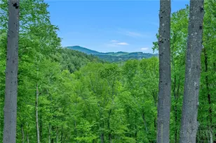 951 Woodland Shrs, Jefferson, NC 28640 - Photo 45