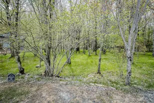 103 & 105 Upper Grouse Ridge, Beech Mountain, NC 28604 - Photo 41
