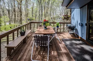 103 & 105 Upper Grouse Ridge, Beech Mountain, NC 28604 - Photo 29