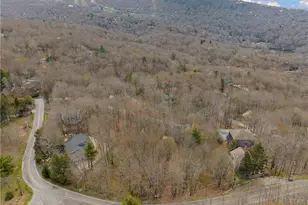103 & 105 Upper Grouse Ridge, Beech Mountain, NC 28604 - Photo 47