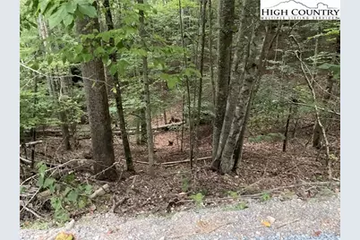 145 Raccoon Road, Beech Mountain, NC 28604 - Photo 5