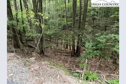 145 Raccoon Road, Beech Mountain, NC 28604 - Photo 3