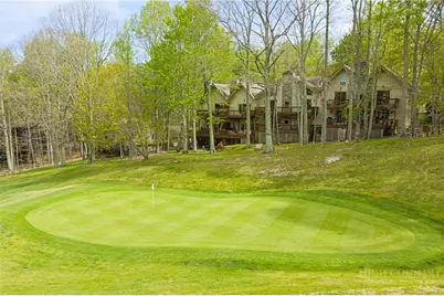 101 Golf View Drive #5, Beech Mountain, NC 28604 - Photo 3
