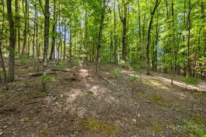 216 Saddle Lane, Deep Gap, NC 28618 - Photo 29