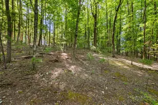 216 Saddle Ln, Deep Gap, NC 28618 - Photo 29