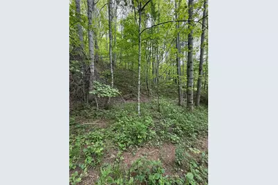 Tbd Ben Bolen Road, Creston, NC 28615 - Photo 11