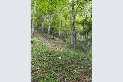Tbd Ben Bolen Road, Creston, NC 28615 - Photo 7
