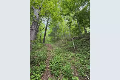 Tbd Ben Bolen Road, Creston, NC 28615 - Photo 3