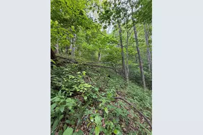 Tbd Ben Bolen Road, Creston, NC 28615 - Photo 5