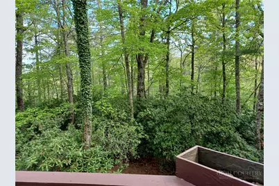 100 Tulip Lane, Newland, NC 28657 - Photo 41