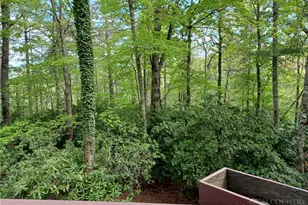 100 Tulip Ln, Newland, NC 28657 - Photo 41