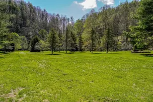 8652 Nc Hwy 16, Grassy Creek, NC 29631 - Photo 19