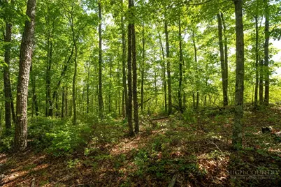 75 Lobelia Lane, Boone, NC 28607 - Photo 3