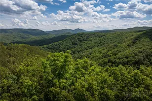 75 Lobelia Ln, Boone, NC 28607 - Photo 1